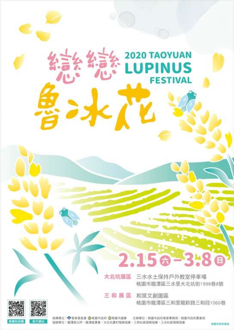 桃園戀戀魯冰花