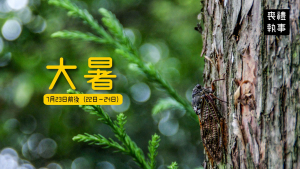 二十四節氣 大暑