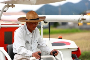 老人健保補助時間為何？