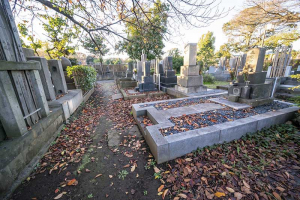 文 / 碧陽健康國際黃瑩秋